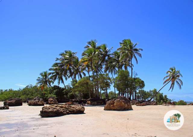 RESERVA MORRO DE SÃO PAULO - LOTES À VENDA A PARTIR DE R$ 800.000,00 