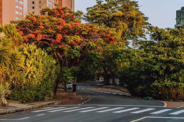 EGEU CAMINHO DAS ÁRVORES - 4 SUÍTES À VENDA POR R$ 1.980.000,00