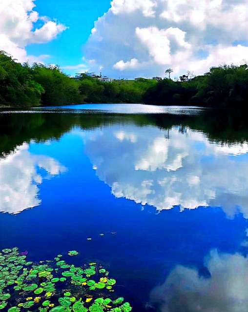 Lote em Simões Filho com 1.298m² à venda por R$ 545.160,00