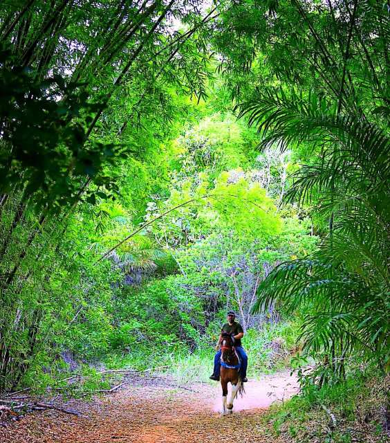 Lote em Simões Filho com 1.298m² à venda por R$ 545.160,00