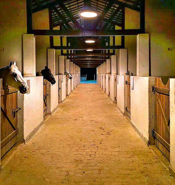 Lote em Simões Filho com 1.298m² à venda por R$ 545.160,00