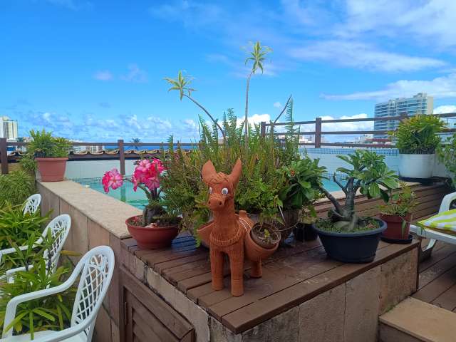 Cobertura duplex, 4/4, 229,91m² de área privativa, valor de R$ 1.000.000,00, Rio Vermelho.